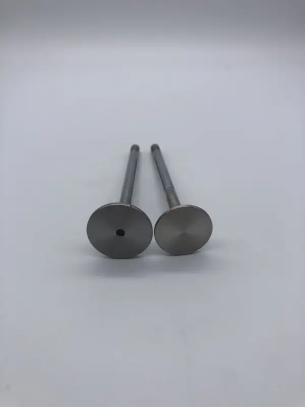 Factory  Car Engine  Intake & Exhaust Valve  for Land Rover 2.7  276DT-V6  DIESEL  VALVE ENGINE  OE  LR008130  LR1311281