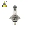 Super White Car Auto Halogen Lamp H4 12v 60/55W 100/90W Halogen Bulb