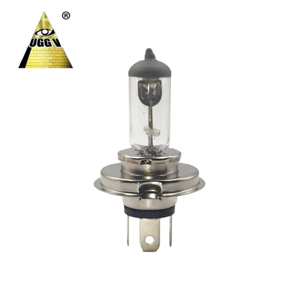 Super White Car Auto Halogen Lamp H4 12v 60/55W 100/90W Halogen Bulb