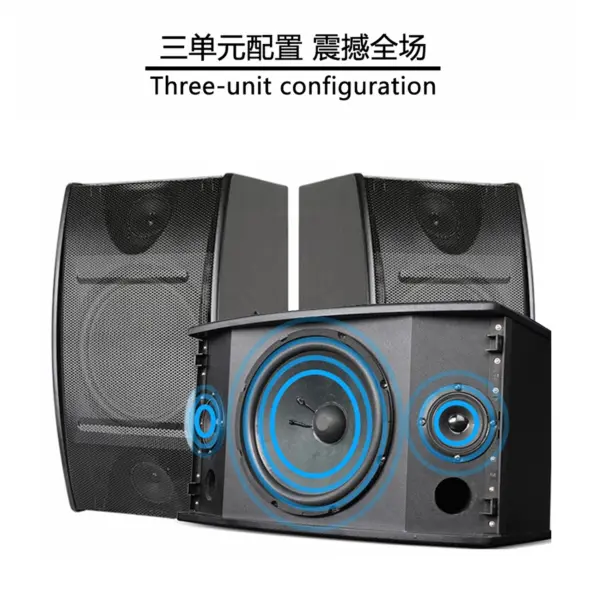 Sound Equipment/Amplifiers/Speaker Public Address (PA) System 300W Mixer Amplifier With Wireless Microphone
