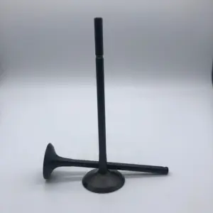Engine Valve  Intake and Exhaust  for Land Rover  Gasoline 3.0T OE LR041678  LR054852 China Hot Sale  Auto Parts