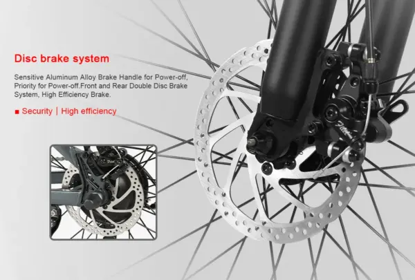SAMEBIKE Dropshipping Electric Bicycle European Warehouse Fashion Electric Family Cargo Bikes Ebike