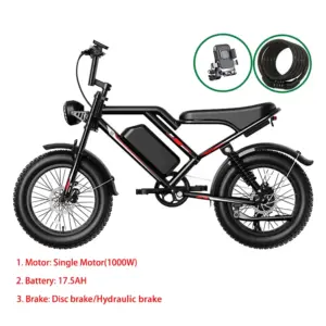 2000W 1000W Power Long Range 48V Electric Bicycle with Dual Single Rear Hub Motor & Down Tube Lithium Battery Popular US EU DIY