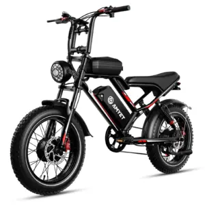 US Warehouse 2000W New High Speed 20inch Hydraulic Brake Adults Electric Bike With 25AH Dual Motor Electric Motorcycle Bicycle