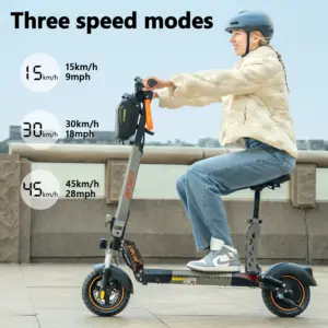 US Warehouse High Quality Original VIPCOO VS1 13ah/48v for Adult 2-wheel 10 Inch 700W Foldable Electric Scooter