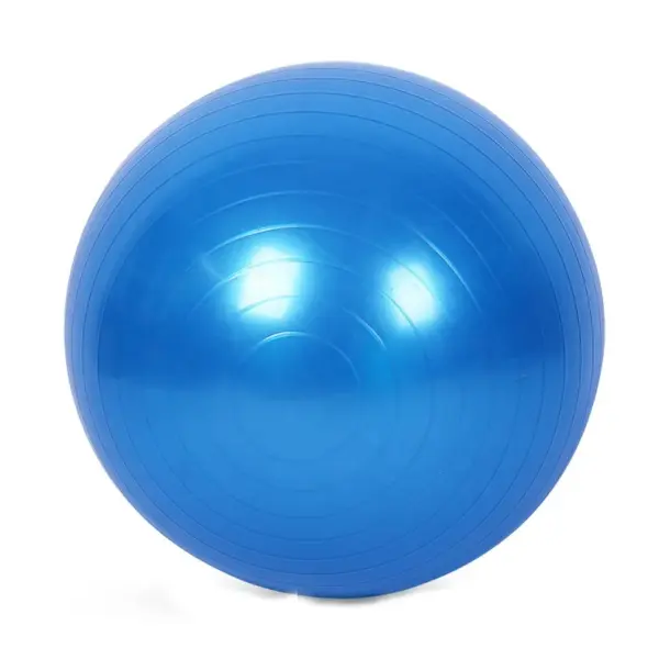 Wholesale Blue From 45cm to 75cm Yoga Ball Exercise Inflatable Soft Fitness Ball