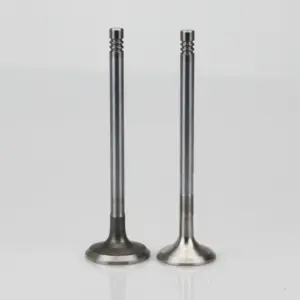 KUSIMA  Factory Racing Car Engine Parts Exhaust and Intake Valves  for Audi Phaeton 3.0T  CNG CRC  CRT CAS  VR6 Diesel