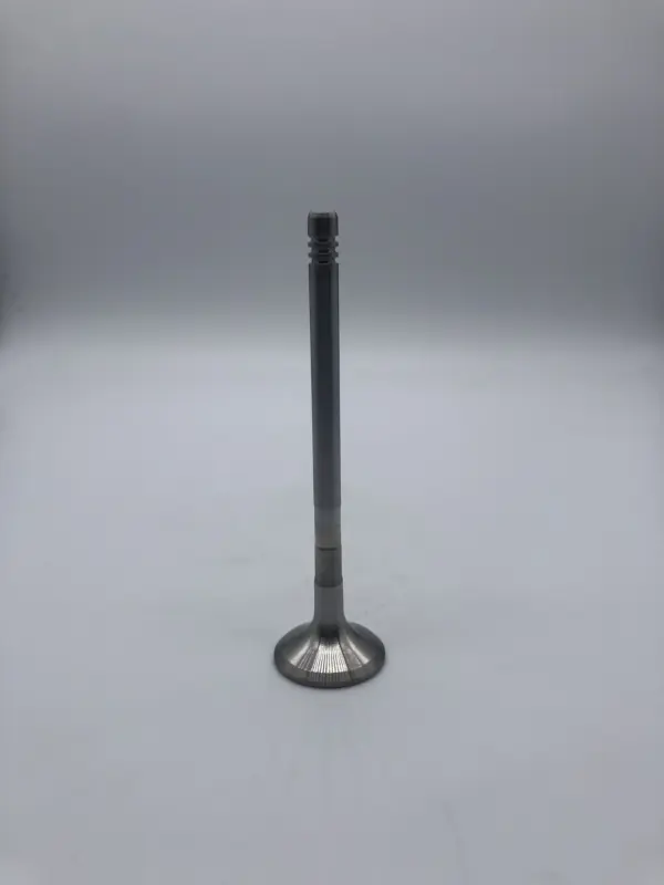 Factory  Car Engine  Intake & Exhaust Valve  for Land Rover 2.7  276DT-V6  DIESEL  VALVE ENGINE  OE  LR008130  LR1311281