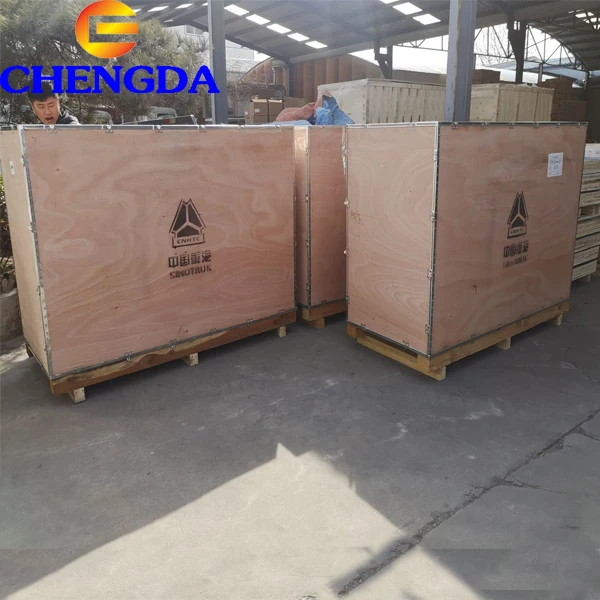Sinotruck Howo Spare Parts Assembly Assembly Engine Truck for Sale
