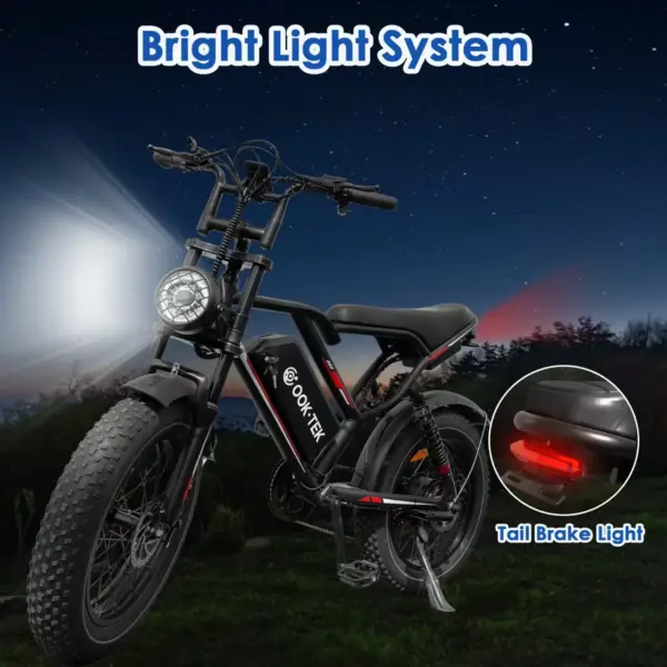 US Stock Fast Delivery E-bike Electric Bike 48V 250W Dual Motors 7 Speed Gears 20Inch Electric Fat Tire Bike