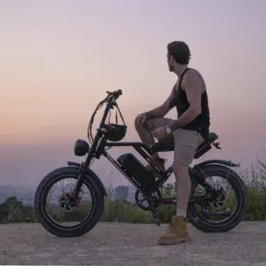 V8 Ebike 20inch  Electric Fat Tire Bike Ebike Sport Electric City E Bike Electric Bicycle 250w 1000w EBike V20 Fatbike Europa