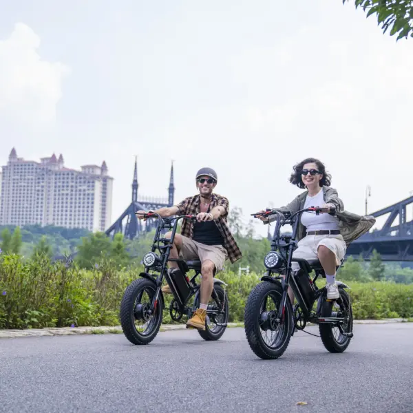 V8 Ebike 20inch  Electric Fat Tire Bike Ebike Sport Electric City E Bike Electric Bicycle 250w 1000w EBike V20 Fatbike Europa