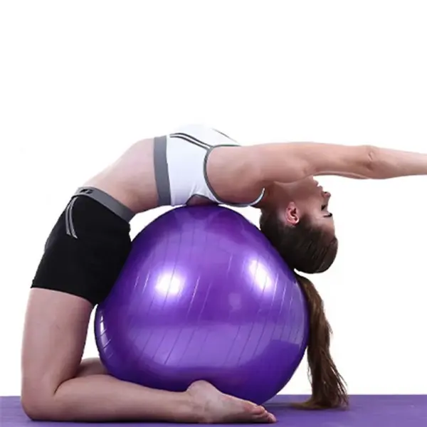 Wholesale Blue From 45cm to 75cm Yoga Ball Exercise Inflatable Soft Fitness Ball
