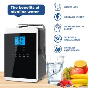 Wholesale Japan 11 Titanium Plates Kangen Water Electrolysis Generator Kagen Water Ionizer Machine Alkaline Water Generator