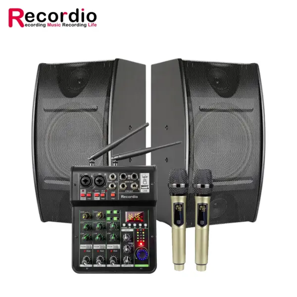 Sound Equipment/Amplifiers/Speaker Public Address (PA) System 300W Mixer Amplifier With Wireless Microphone