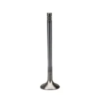 Super September Engine Intake Exhaust Valves Set 036 109 611 K for VW Golf for  Audi A1 A3 1.4TSI TFSI CAXA 036109601AL