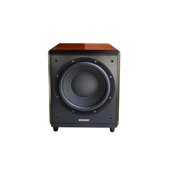 ToneWinner 600W  Home Theatre Subwoofer 12 Inch Woofer Technics Wooden Speaker Super Bass AV Concert Powered Soundbar Subwoofers