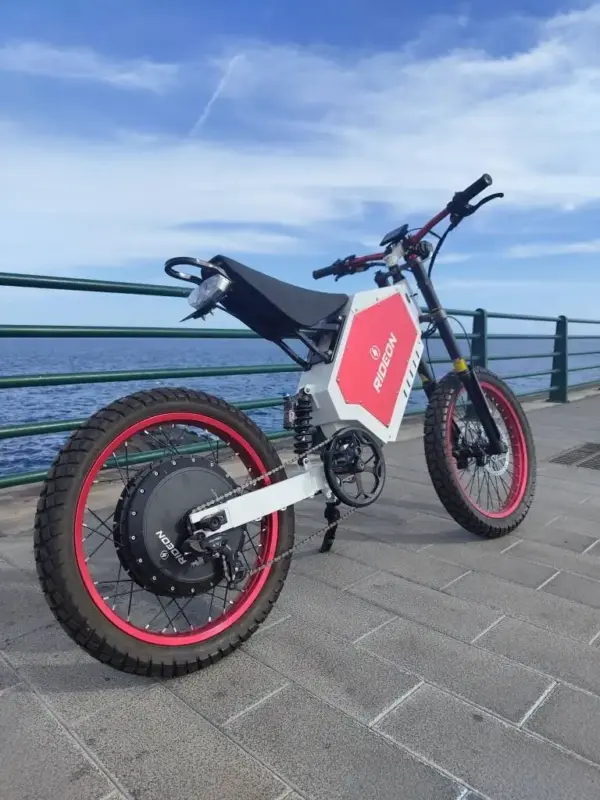 Hot Selling Super Electric Bike 26"x4.0 Wheel Bicicleta Electrica 48V 3000W Motor EBike  Battery Fat Tire Electric Bicycle