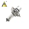 Super White Car Auto Halogen Lamp H4 12v 60/55W 100/90W Halogen Bulb