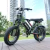 2000W 1000W Power Long Range 48V Electric Bicycle with Dual Single Rear Hub Motor & Down Tube Lithium Battery Popular US EU DIY