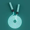 Fitness Adjustable 2.8m Optical TPU Cable Luminous 4.5mm Night LED Light up Adult Children Kids Jump Skipping Rope