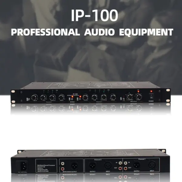 GAX-IP100 Professional Audio Equalizer Power Equalizer Dj Equipment Professional Sound Equipment