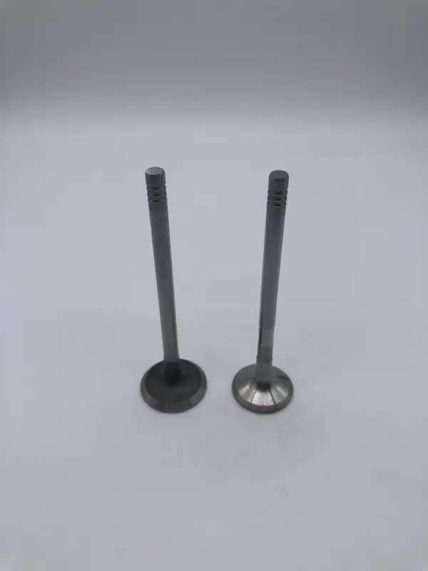 Factory  Car Engine  Intake & Exhaust Valve  for Land Rover 2.7  276DT-V6  DIESEL  VALVE ENGINE  OE  LR008130  LR1311281